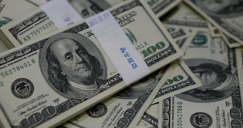 Dolar/TL kuru için kritik hafta geldi! Gözler Merkez Bankası nda
