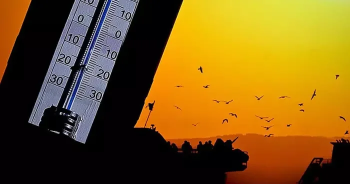 Zararlı ışınlara karşı koruma kalkanı! Yaz sıcağında uzmanlardan zırh gibi koruyacak doğal tavsiyeler...