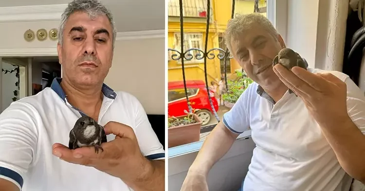 İstanbul da muhteşem olay! Sokakta yaralı bulup tedavi ettirmişti, 6 yıl sonra geri döndü