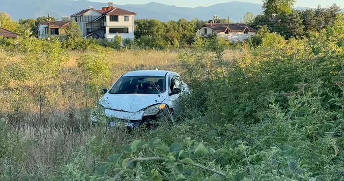 Büyükbaş hayvana çarpmamak için manevra yapınca aracı şarampole uçtu! 1 yaralı