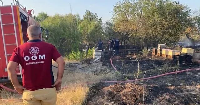 Elazığ da anız yangını; arı kovanları ve ağaçlar zarar gördü Elazığ Haberleri