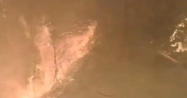 Sakarya’da yangınla mücadele devam ediyor VİDEO İZLE