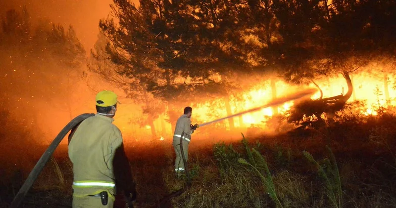 Çanakkale deki 4 yangında 5 bin 236 hektar alan zarar gördü