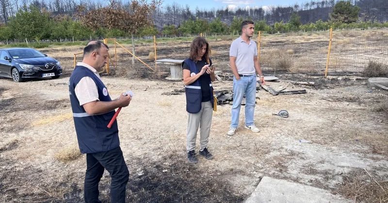 Gelibolu daki orman yangınından etkilenen köylerde hasar tespit çalışması sürüyor