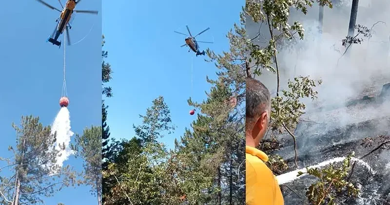 Osmaniye’de orman yangını, büyümeden kontrol altına alındı