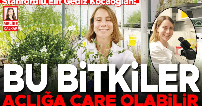 Stanfordlu Elif Gediz Kocaoğlan: Bu bitkiler açlığa çare olabilir