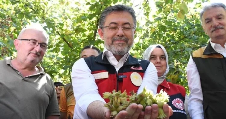 Fındık hasadına katılan Bakan Yumaklı: Fındıkta dünyada birinciyiz