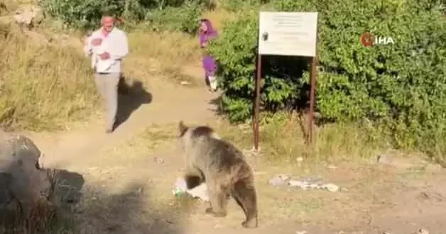 Baba ve bebeğine ayı saldırdı, o anlar böyle kaydedildi