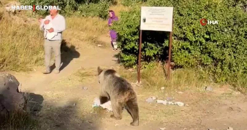 Kucağında bebekle ayının dibine kadar girdi, sonra saldırısına uğradı