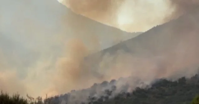 Muğla’da makilik alanda çıkan yangın ormana sıçradı VİDEO İZLE