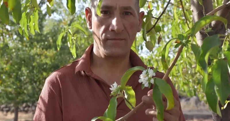 Ağustos ayında üreticiyi tedirgin eden manzara: Çok garip bir durum