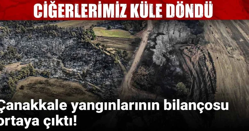 Çanakkale yangınlarının bilançosu ortaya çıktı! Ciğerlerimiz küle döndü