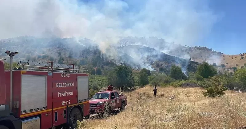 Bingöl’de örtü yangını