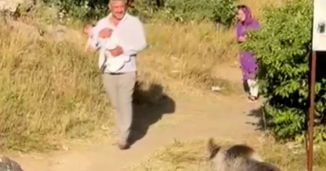 Bitlis te bir vatandaş kucağında bebekle ayı saldırısına uğradı VİDEO İZLE