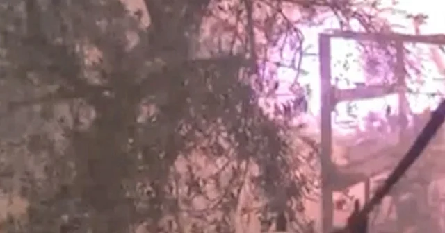 Çanakkale’de çıkan orman yangının ilerleme hızı güvenlik kamerasında: Alevler rüzgarla kısa sürede yayılmış VİDEO İZLE