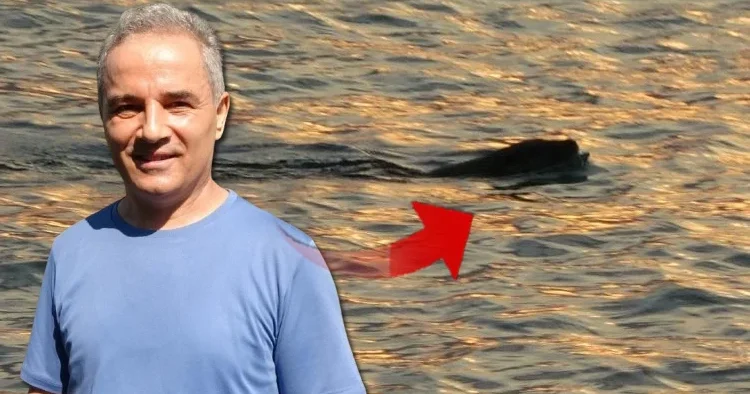 Karadeniz de tedirgin eden manzara! Güçlü bir yırtıcı diyerek açıkladı