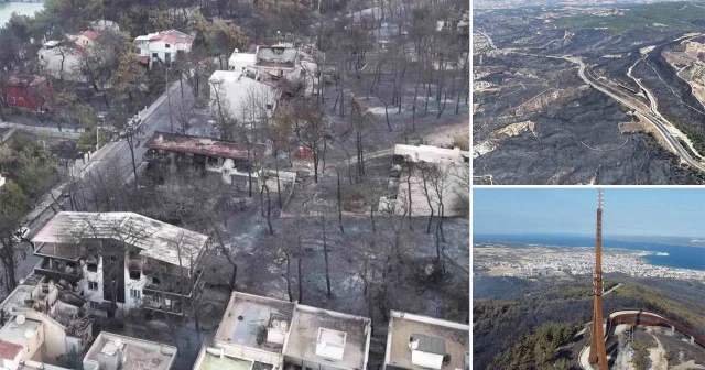Çanakkale’de yaşanan 4 büyük yangında 5 bin 236 hektar ormanlık alan yandı Hayat Haberleri