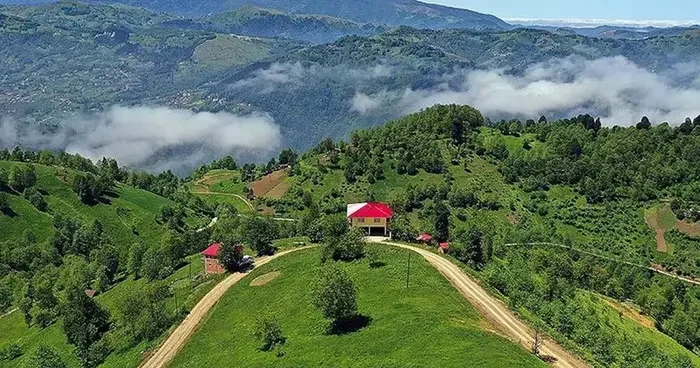 Karadeniz’de alerji alarmı: Alerjik hava yolu hastalıklarına dikkat! Uzmanlar tehlikeye karşı uyardı...