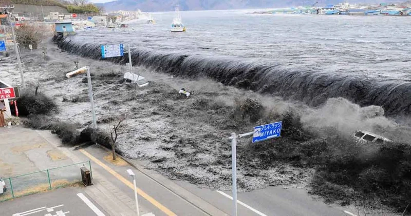 Depremde tsunami yaşayacak iki ilçe için AFAD çalışma başlattı