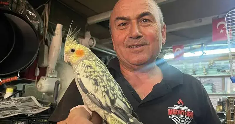 50 metrekarelik dükkanında kuş sesleri eşliğinde üretim yapıyor