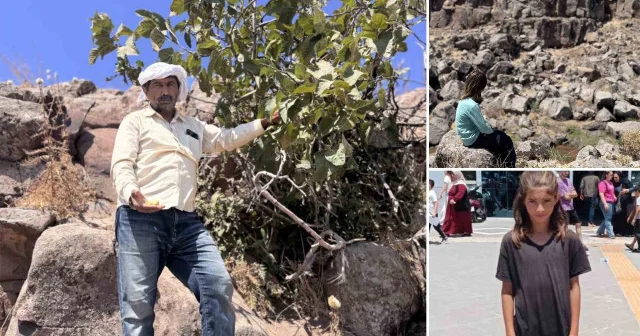 Mardin’de ölü bulunan 12 yaşındaki Zeynep’in acılı babası konuştu Gündem Haberleri