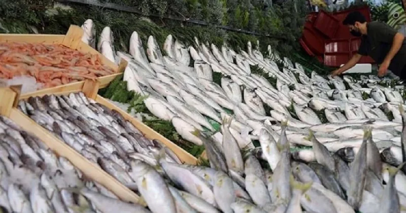 Balık yerken bir kez daha düşünün: Mikroplastik tespit edildi Sözcü Gazetesi