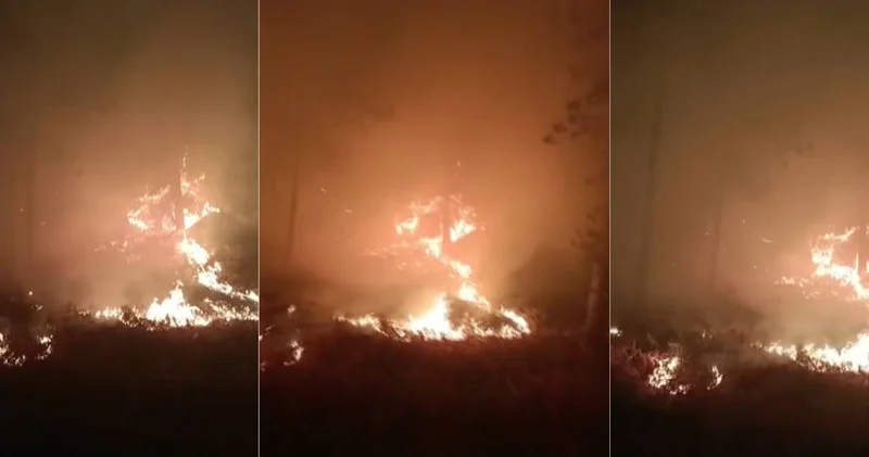 Kabus bitmiyor! Muğla da orman yangını