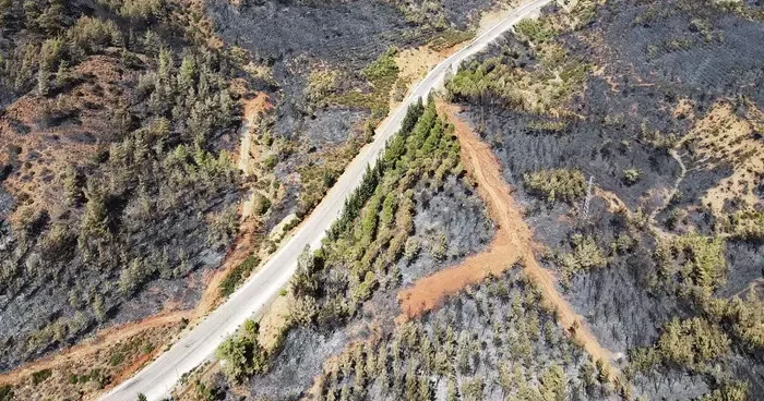 Köyceğiz’de yangından zarar gören alanlar havadan görüntülendi