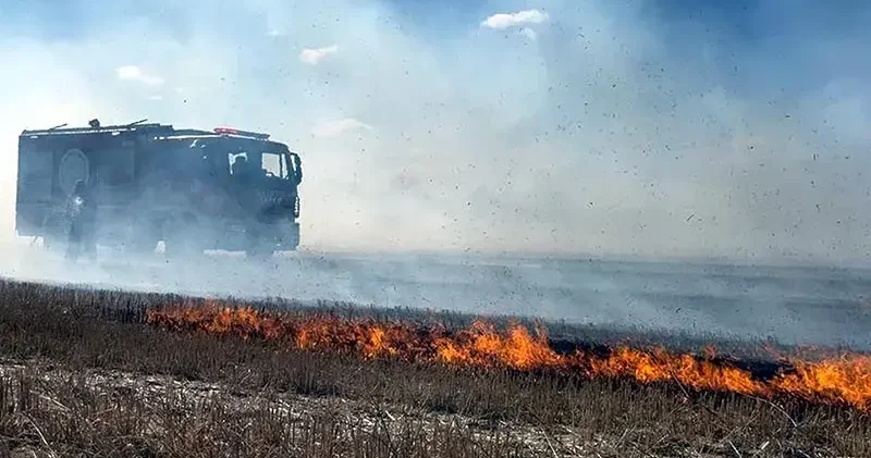 Anız yangınında alevler çiftliklere ulaşmadan kontrol altına alındı