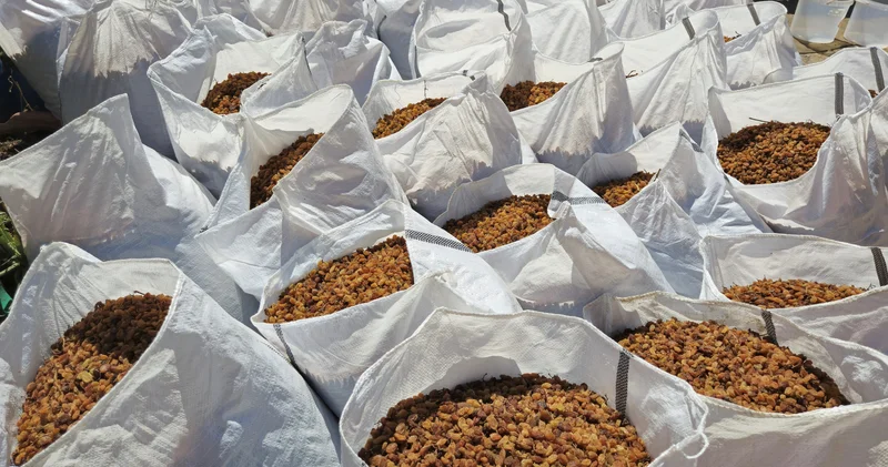 Türkiye nin kuru üzüm ihracatı 546,5 milyon dolarla rekor kırdı