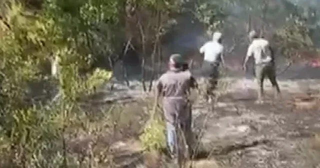 Çanakkale Ezine de orman yangını VİDEO İZLE