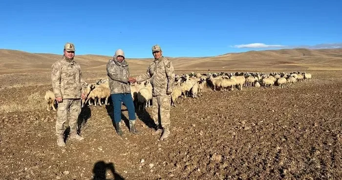 Erzincan’da kaybolan 300 koyun İHA desteği ile bulundu
