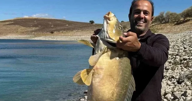 Amatör balıkçı yakaladı: Elazığ’da 21 kiloluk dev sazan avlandı Gündem Haberleri
