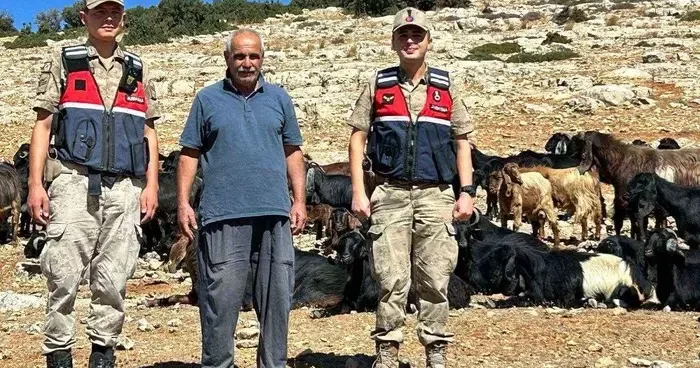 Kilis’te kaybolan 100 küçükbaş hayvan bulundu