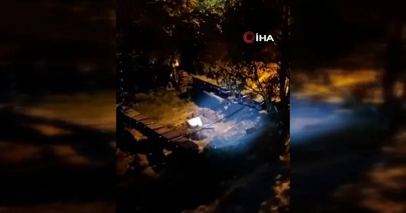 Artvin de sel: Arı kovanları sel suları ve heyelana kapılmaktan kurtulamadı