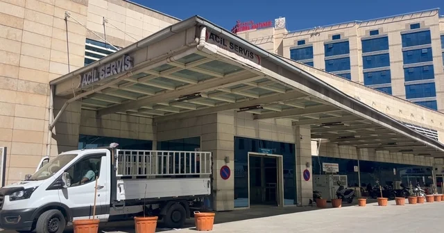 Ceviz toplarken ağaçtan düşüp öldü Siirt Haberleri