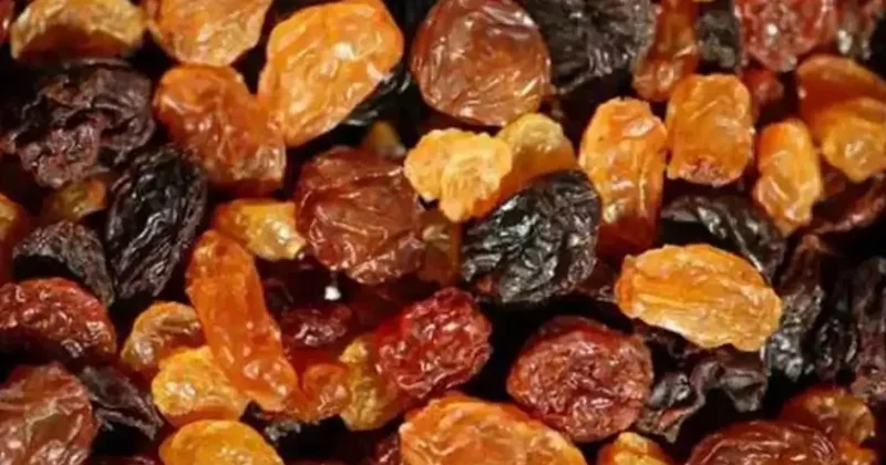 Kuru üzüm ihracatı rekor kırdı!