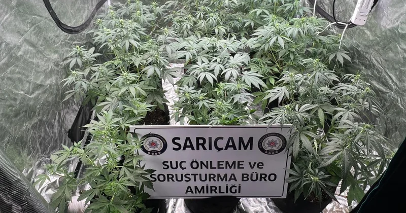 Adana da evde iklimlendirme sistemiyle kenevir yetiştiren 3 zanlıdan 1 i tutuklandı