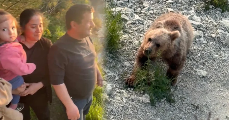 Ayıseverler sahile akın etti