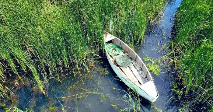 Usulsüz avcılara 67 bin lira ceza