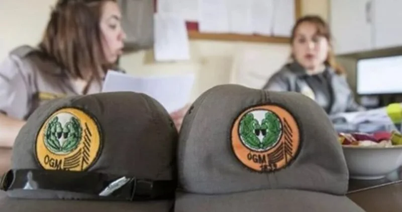 Orman Genel Müdürlüğü 3 bin 477 personel alımı başvuru sonucu sorgulama ekranı: OGM personel alımı sonuçları ne zaman açıklanacak?