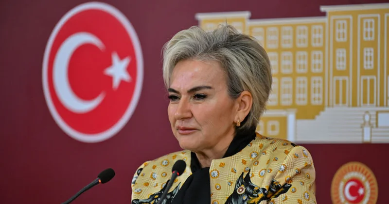 CHP, hayvan hakları için harekete geçti Son dakika haberleri