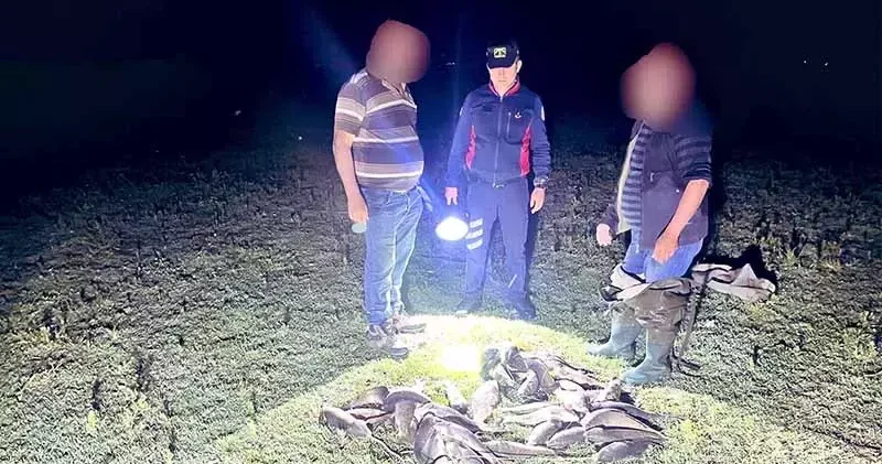 Uluabat Gölü nde kaçak avcılara baskın; ele geçirilen 466 kilo canlı balık göle salındı