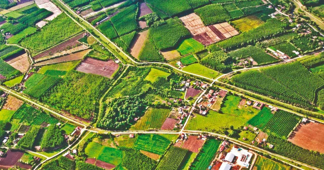 2B’de tapu müjdesi: 5 milyon kişiyi ilgilendiriyor Gündem Haberleri