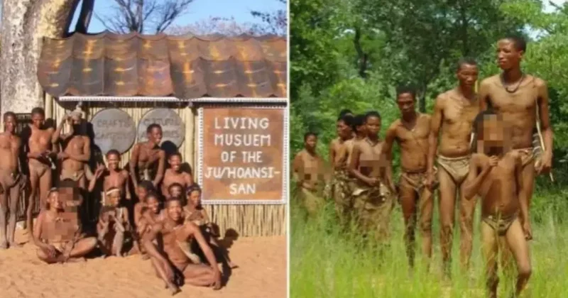 Dünya ile bağlantısı olmayan kabilenin 33 çocuğuna tecavüz eden turist tutuklandı