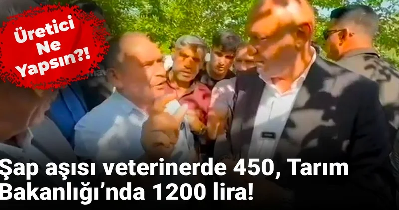Şap aşısı veterinerde 450, Tarım Bakanlığı’nda 1200 lira! Üretici ne yapsın?