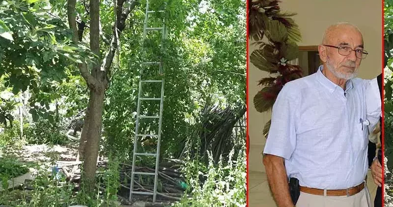 Kiraz ağacından düşerek ölen Ruhi Sakarya toprağa verildi