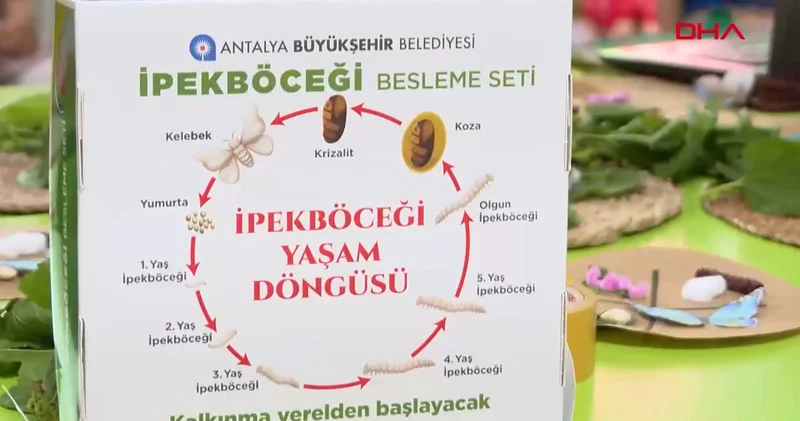 Büyükşehir çocukları ipekböceği ile tanıştırıyor