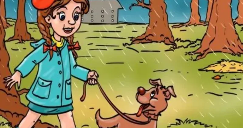 Ormanın sırlarını çözün! Yağmurlu bu ormanda gizli kaplumbağayı sadece dahiler 9 saniyede buluyor
