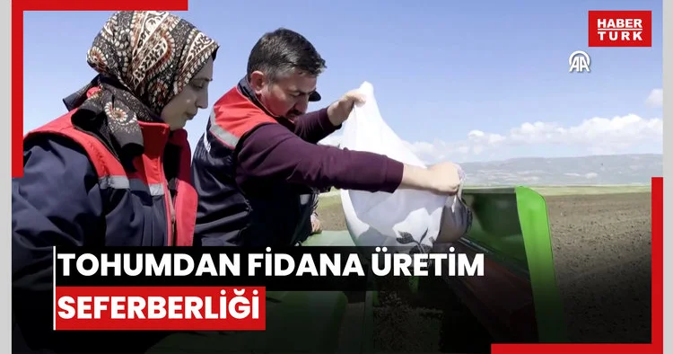 Ağrının verimli ovalarında tohumdan fidana üretim seferberliği